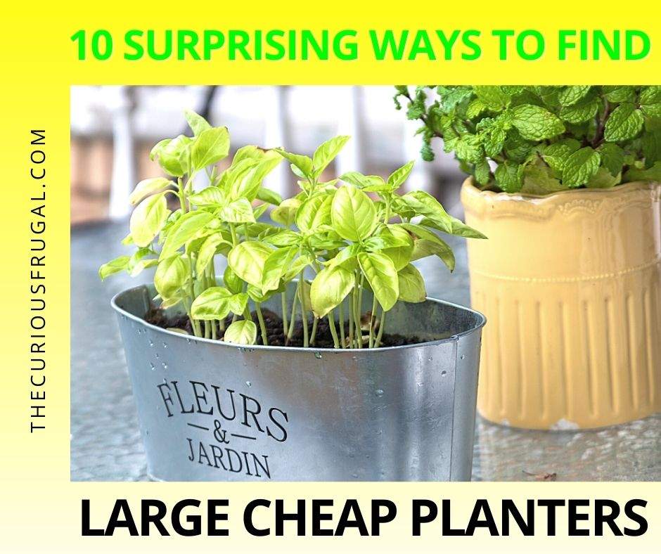 inexpensive planters