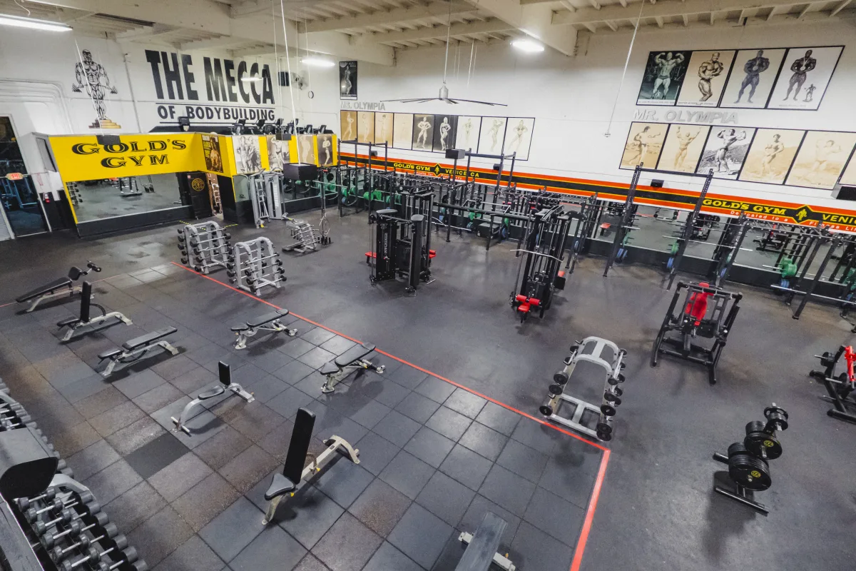 workout gyms in my area