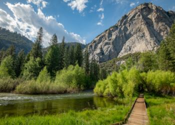planet fitness kings canyon