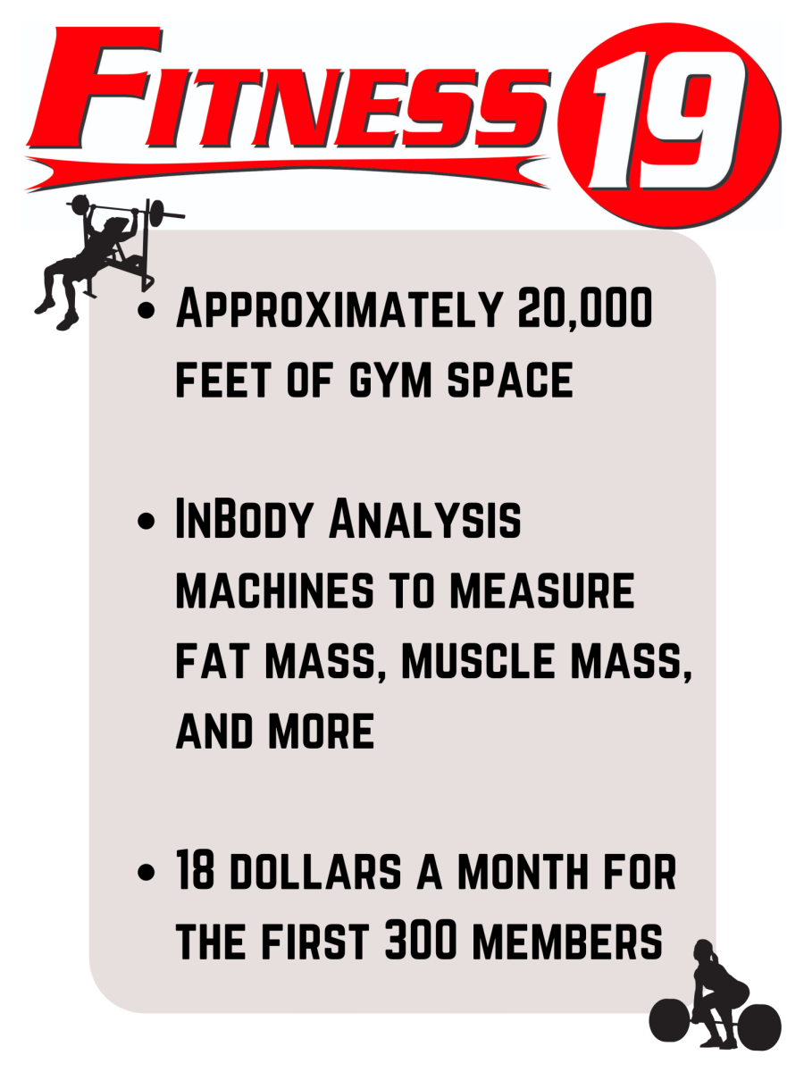 how much is fitness 19 membership