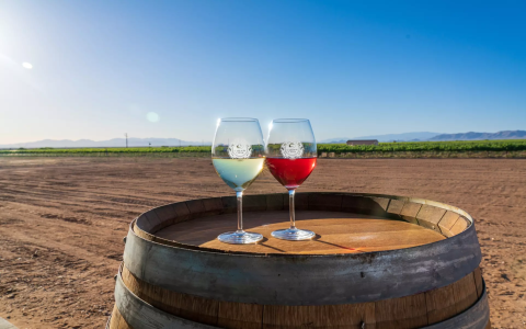 planet fitness allison park pa