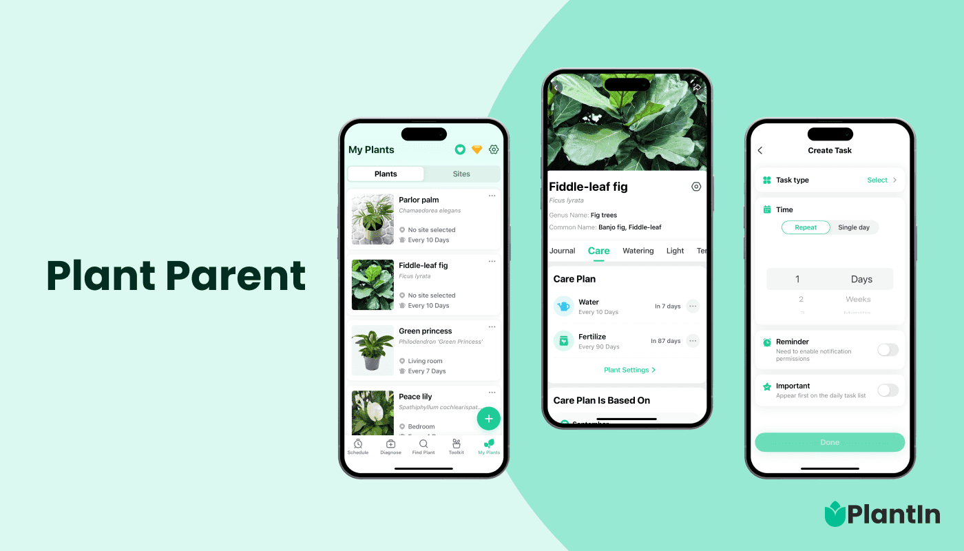what does my plant need app