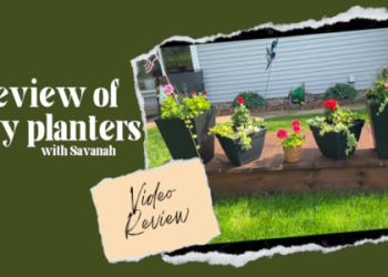 inexpensive planters