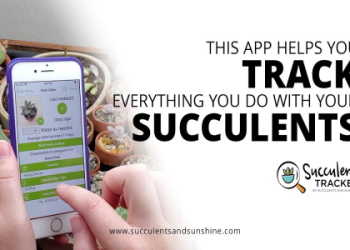 what does my plant need app