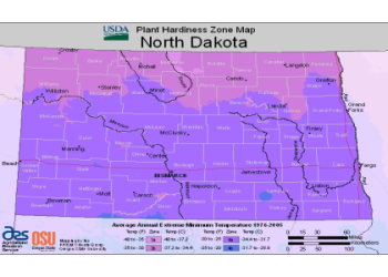 what plant zone is nh