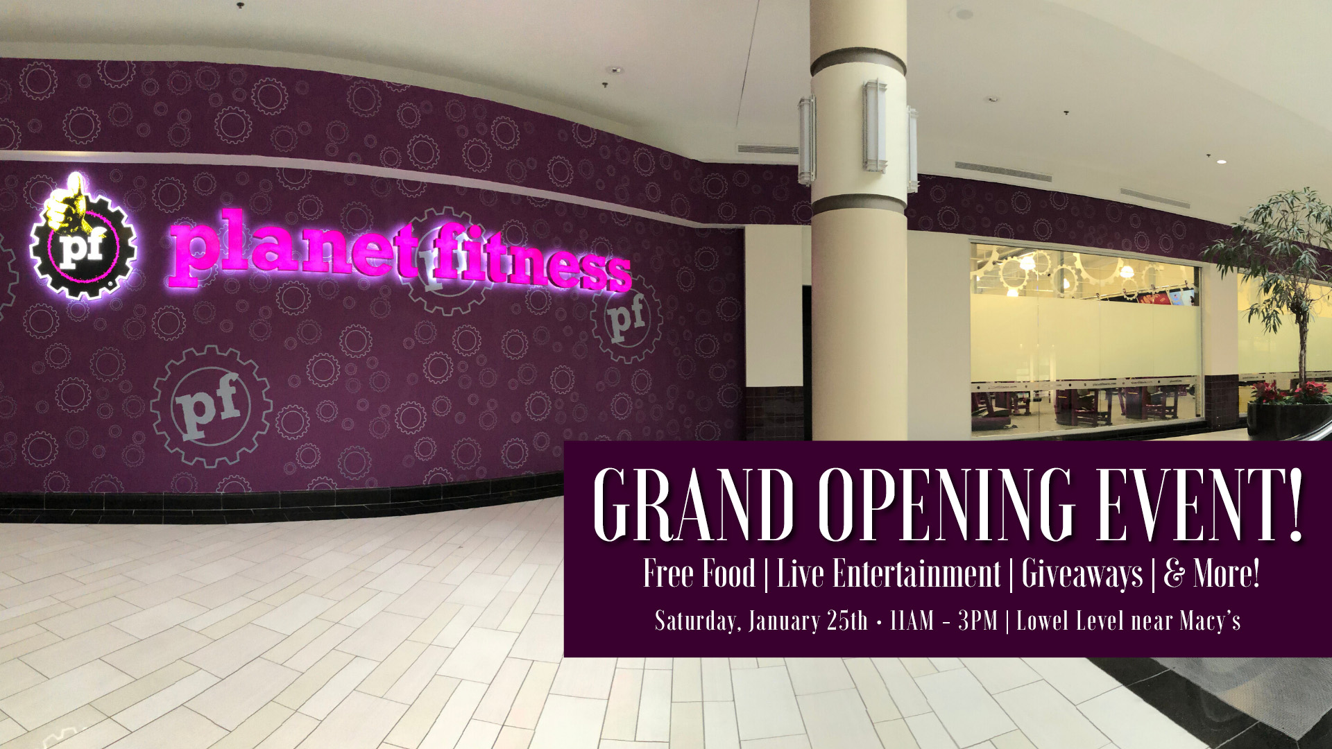 planet fitness holyoke ma