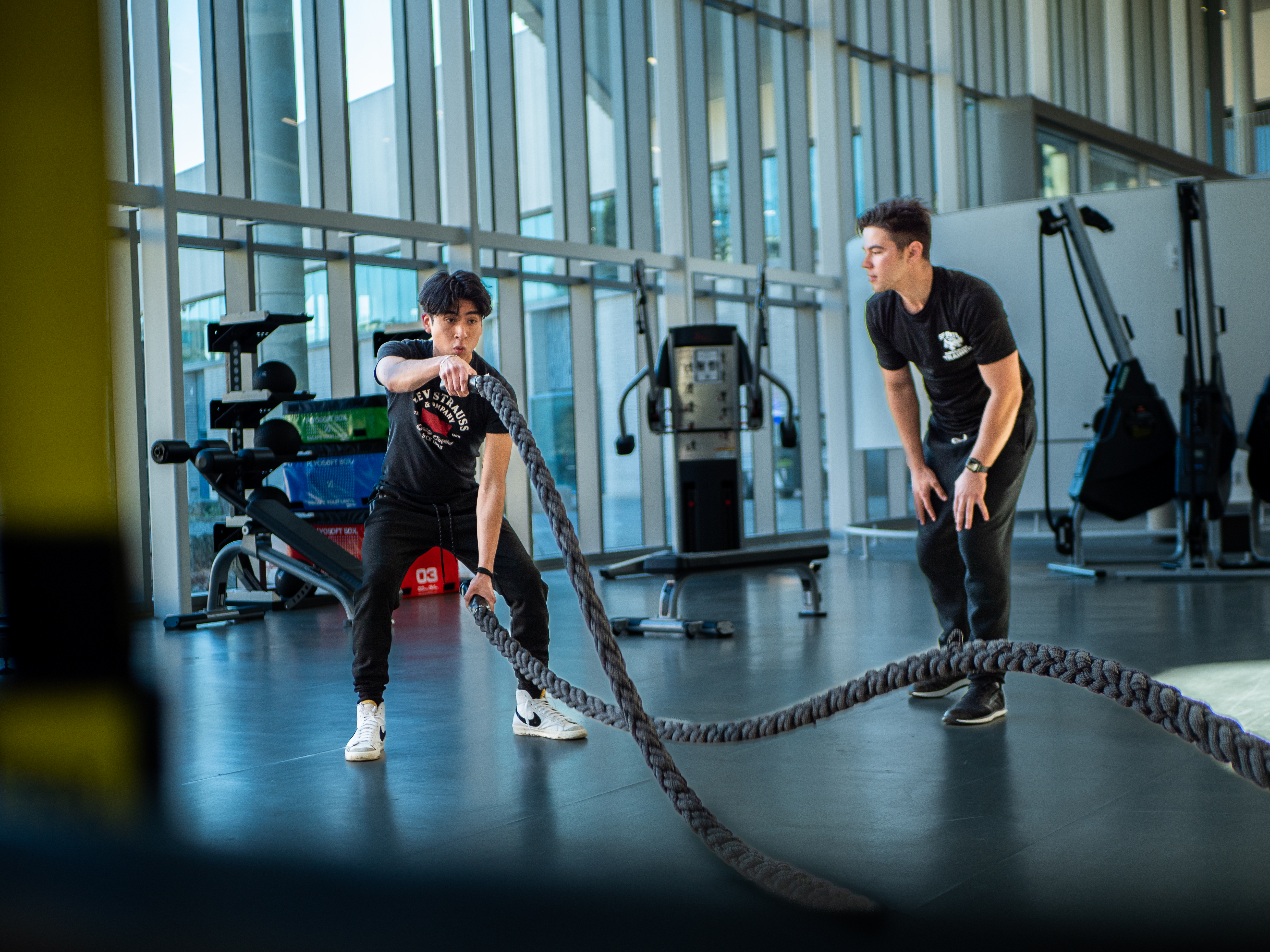 san francisco state university gym