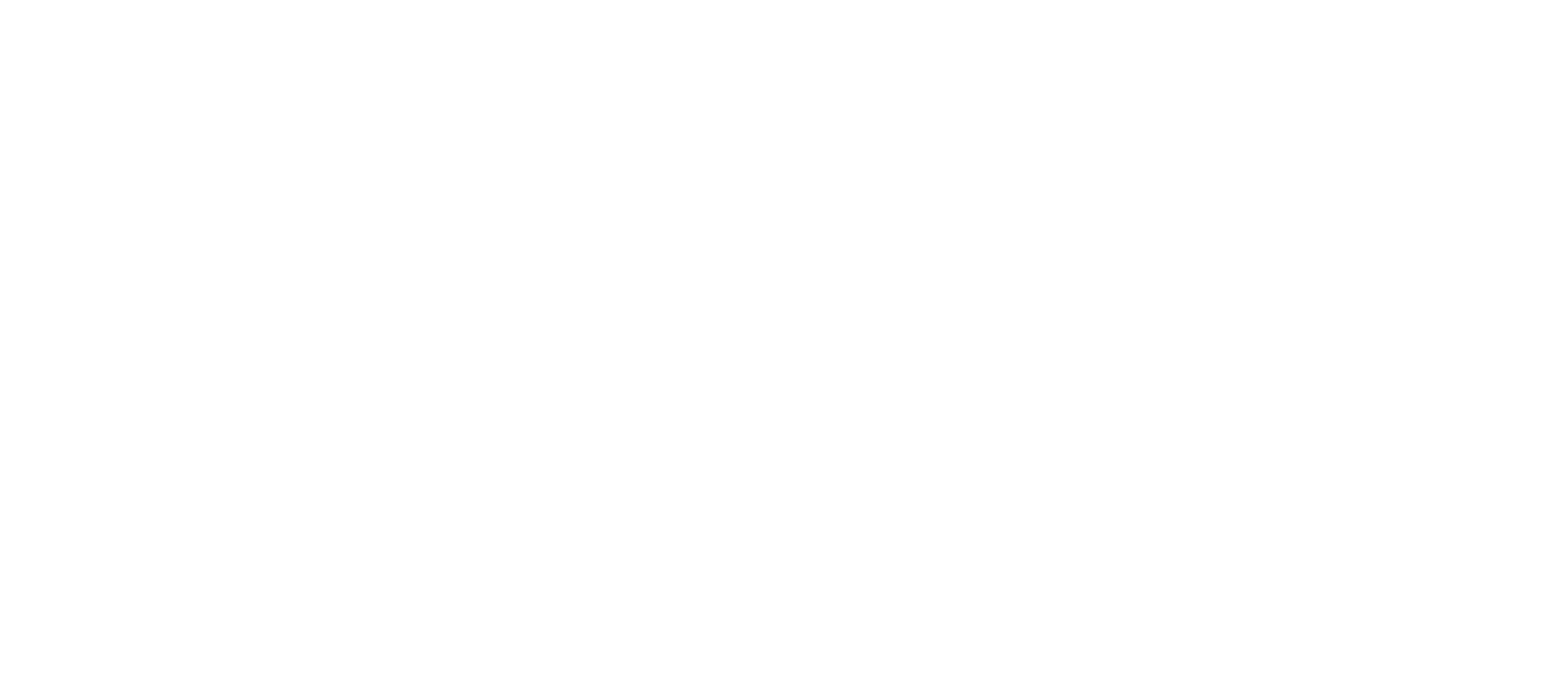 promo only inc