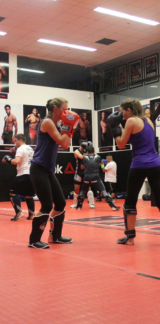 american kickboxing academy reviews